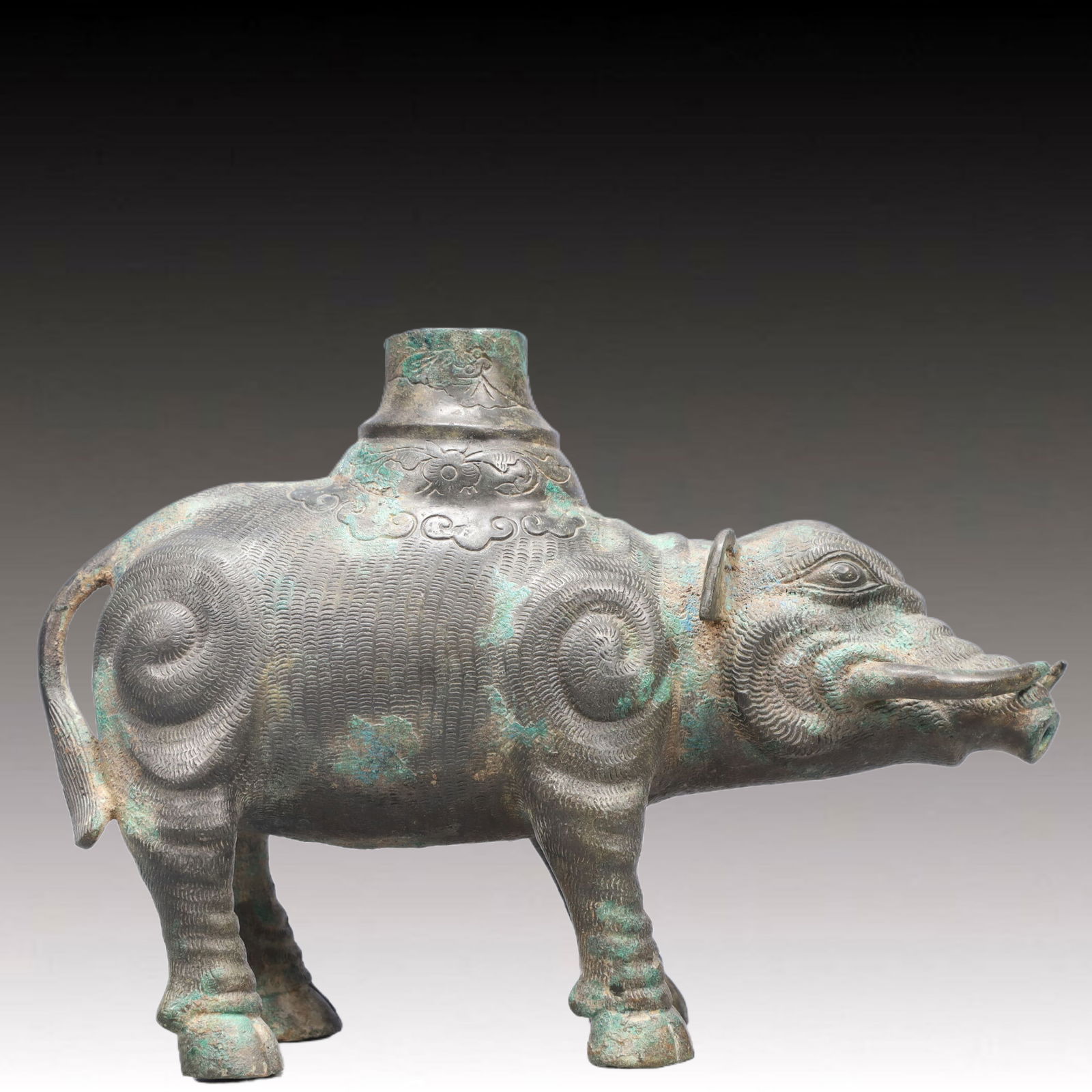 A Precious Bronze Pig-Shaped Ornament (1 of 11)