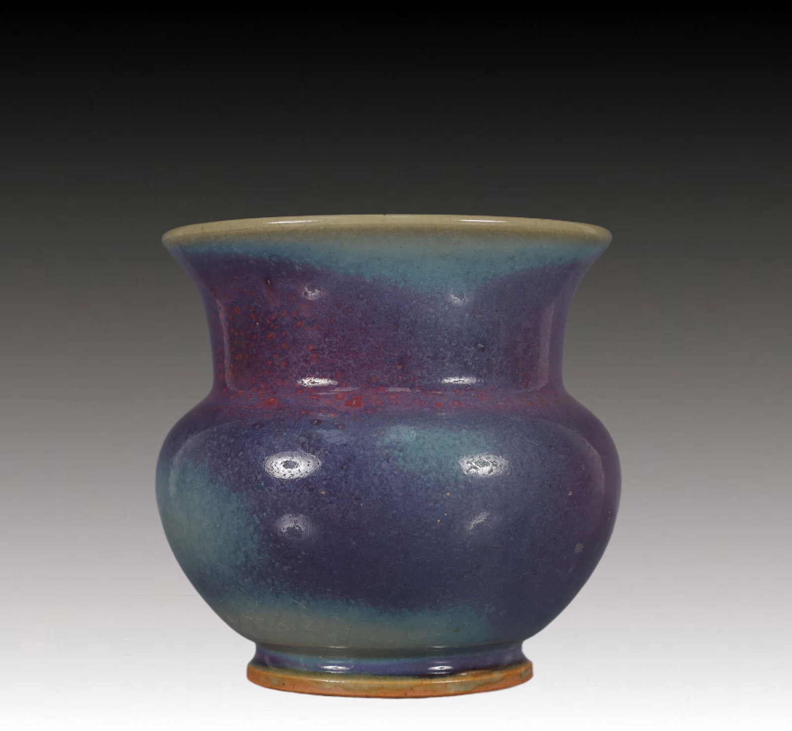 An Exquisite Jun yao Vase (1 of 7)