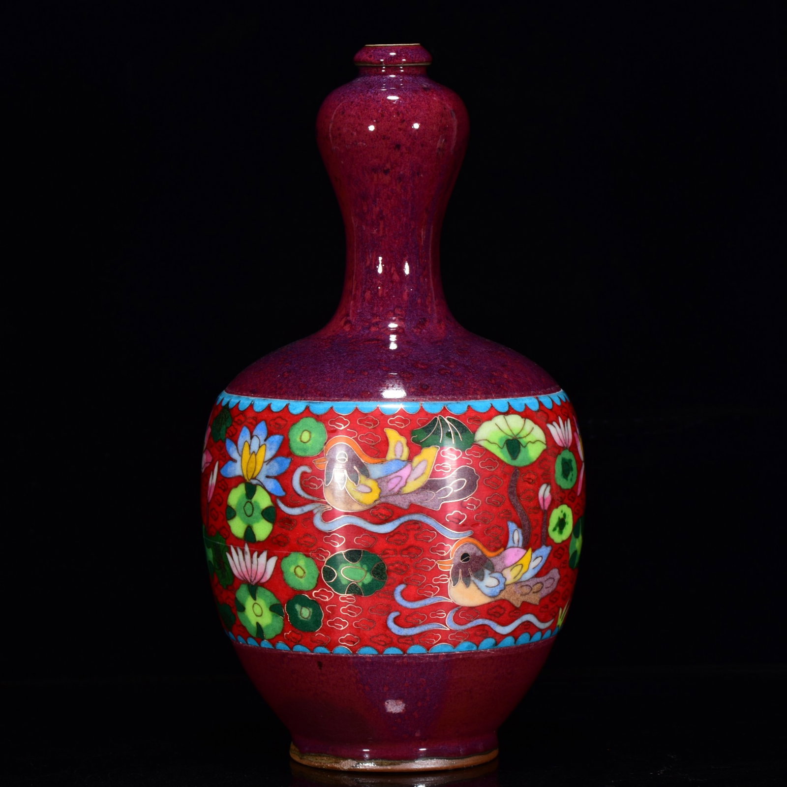 An Exquisite Cloisonne Flower and Mandarin Duck Pattern Vase: An Exquisite Cloisonne Flower and Mandarin Duck Pattern Vase,Song Dynasty,China,Size:12.6inx6.3in 掐丝珐琅花卉鸳鸯纹瓶,中国ê