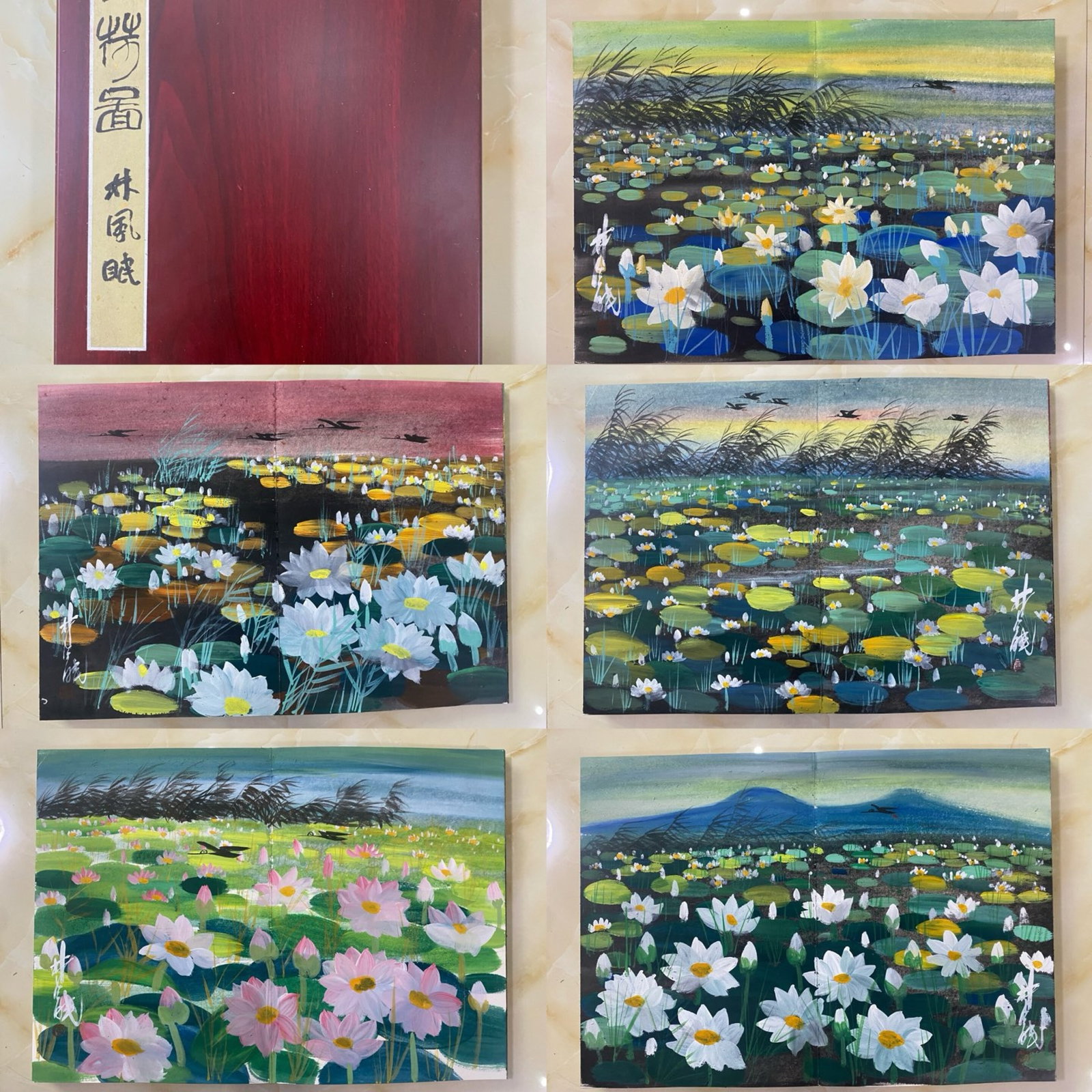 A Chinese Album Ink Painting of Lotus on Paper: A Chinese Album Ink Painting of Lotus on Paper,Lin Fengmian,Size:17.3inx25.2in*12 一本中国水墨荷花画册,林风眠