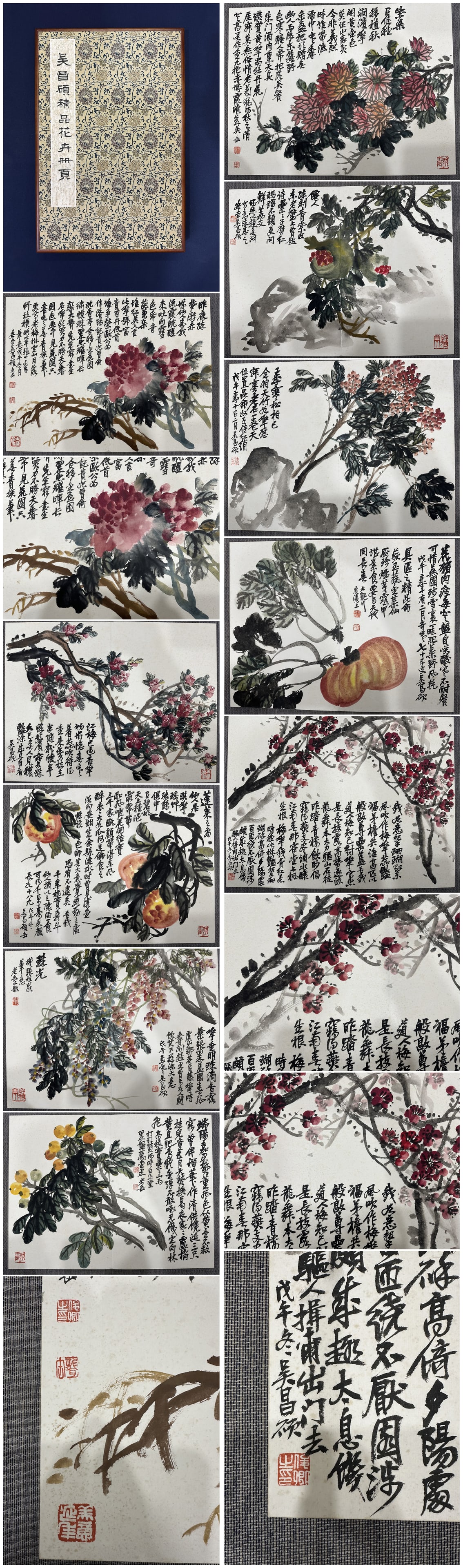 A Chinese Album Ink Painting of Flower on Paper: A Chinese Album Ink Painting of Flower on Paper,Wu Changshuo,Size:16.5inx22in*10 一本中国水墨花卉画册,吴昌硕