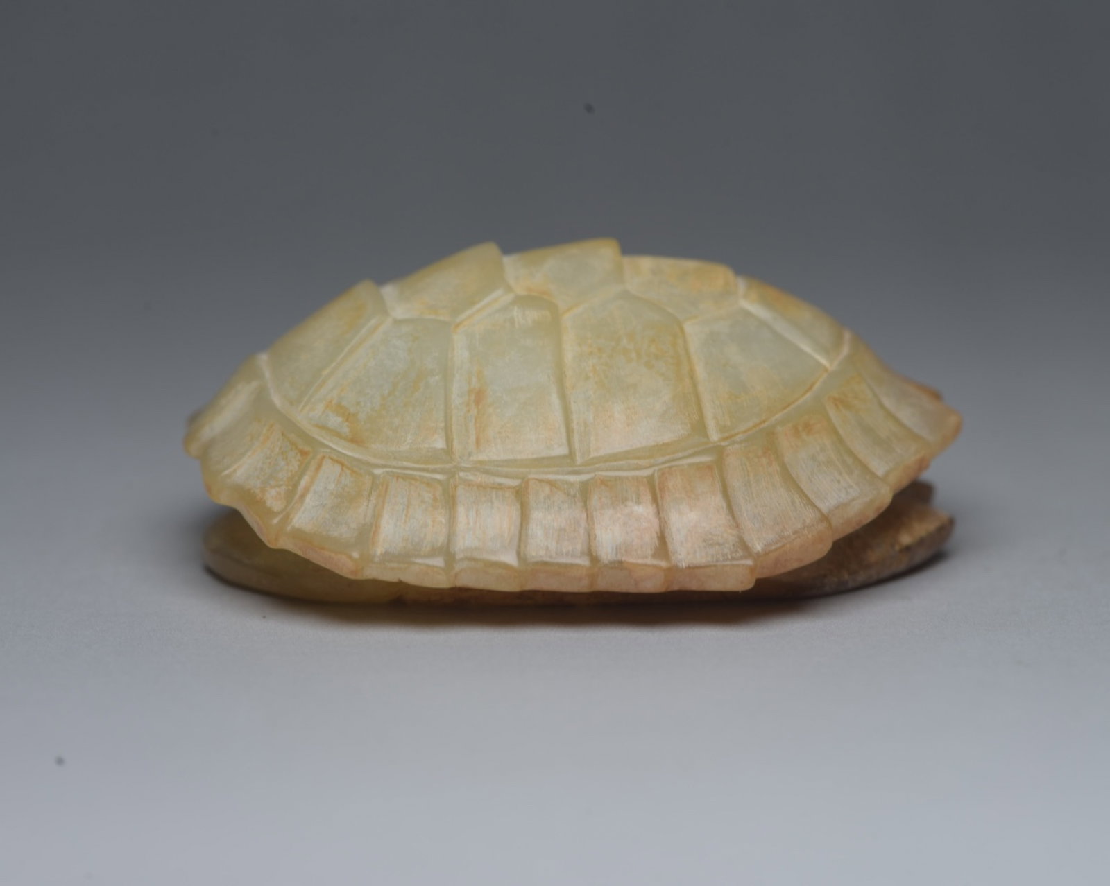 An Exquisite White Jade Turtle Shell Ornament - 4