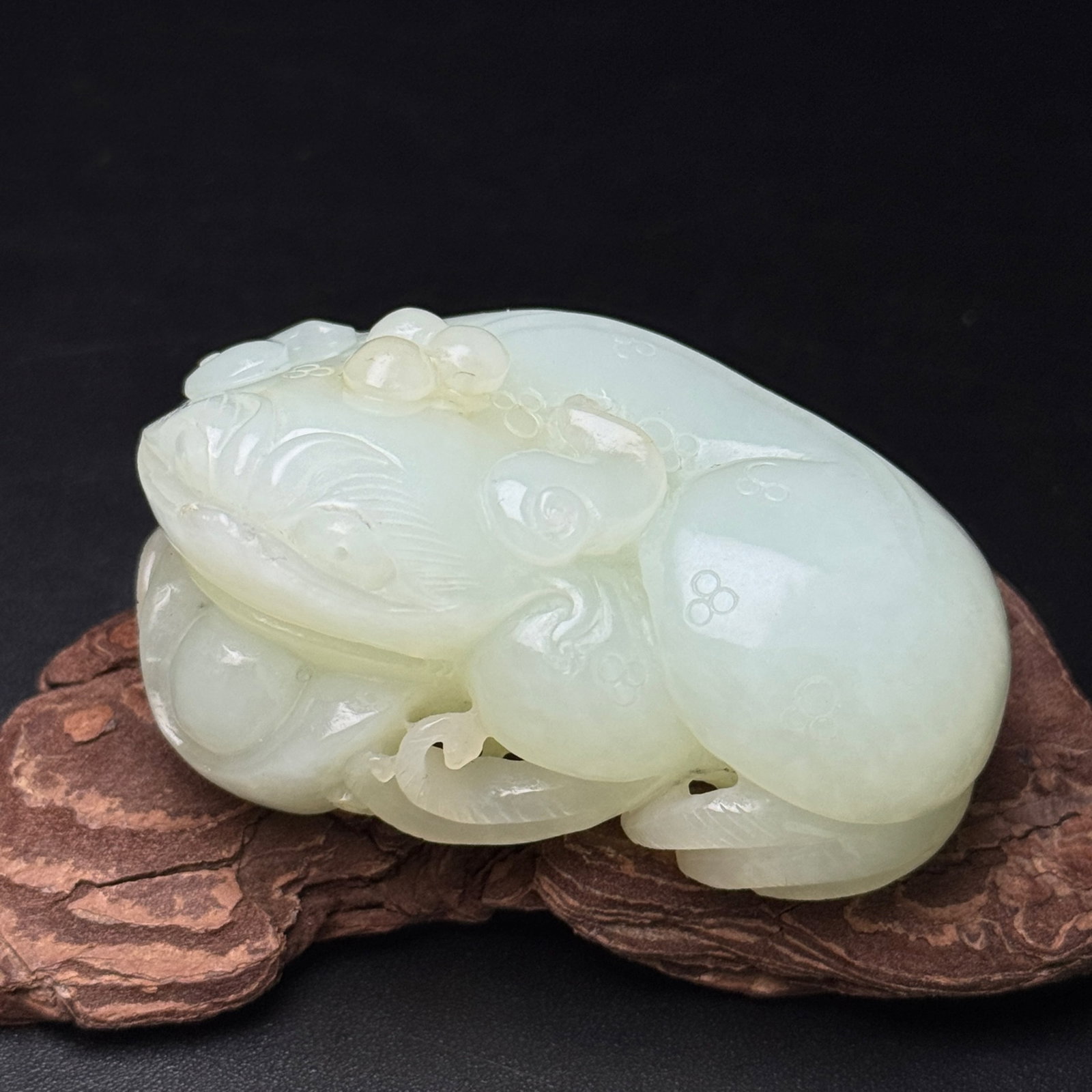 An Exquisite White Jade Golden Toad Ornament: An Exquisite White Jade Golden Toad Ornament,Qing Dynasty,China,Size:64mmx42mmx32mm,Weight:143g 白玉金蟾摆件,中国清代