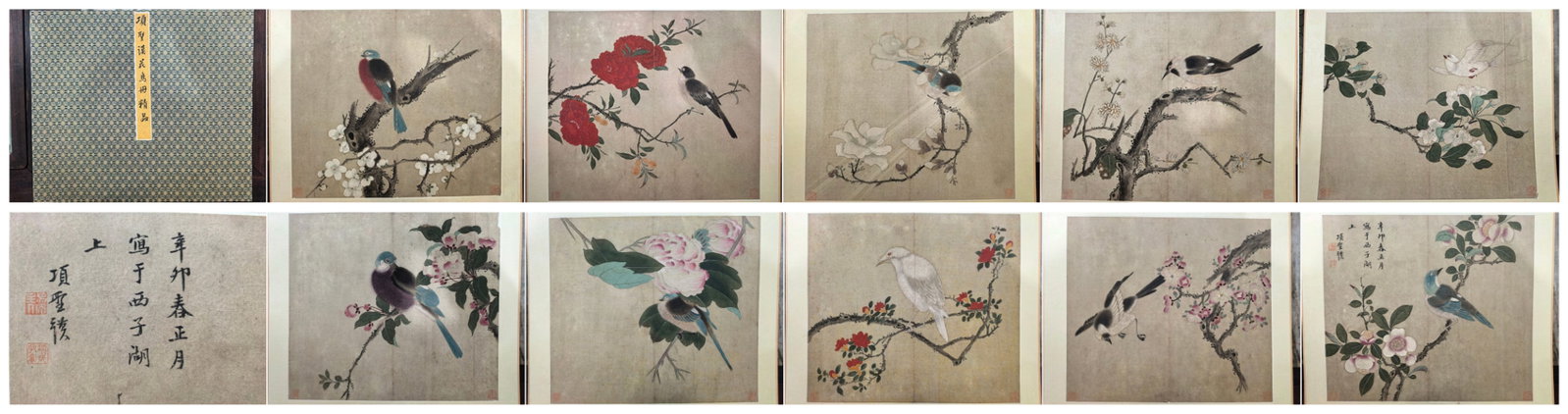 A Chinese Album Ink Painting of Flower and Bird on Paper: A Chinese Album Ink Painting of Flower and Bird on Paper,Xiang Shengmo,Size:12.2inx13.4inx3.9in 一本中国水墨花鸟画册,项圣谟