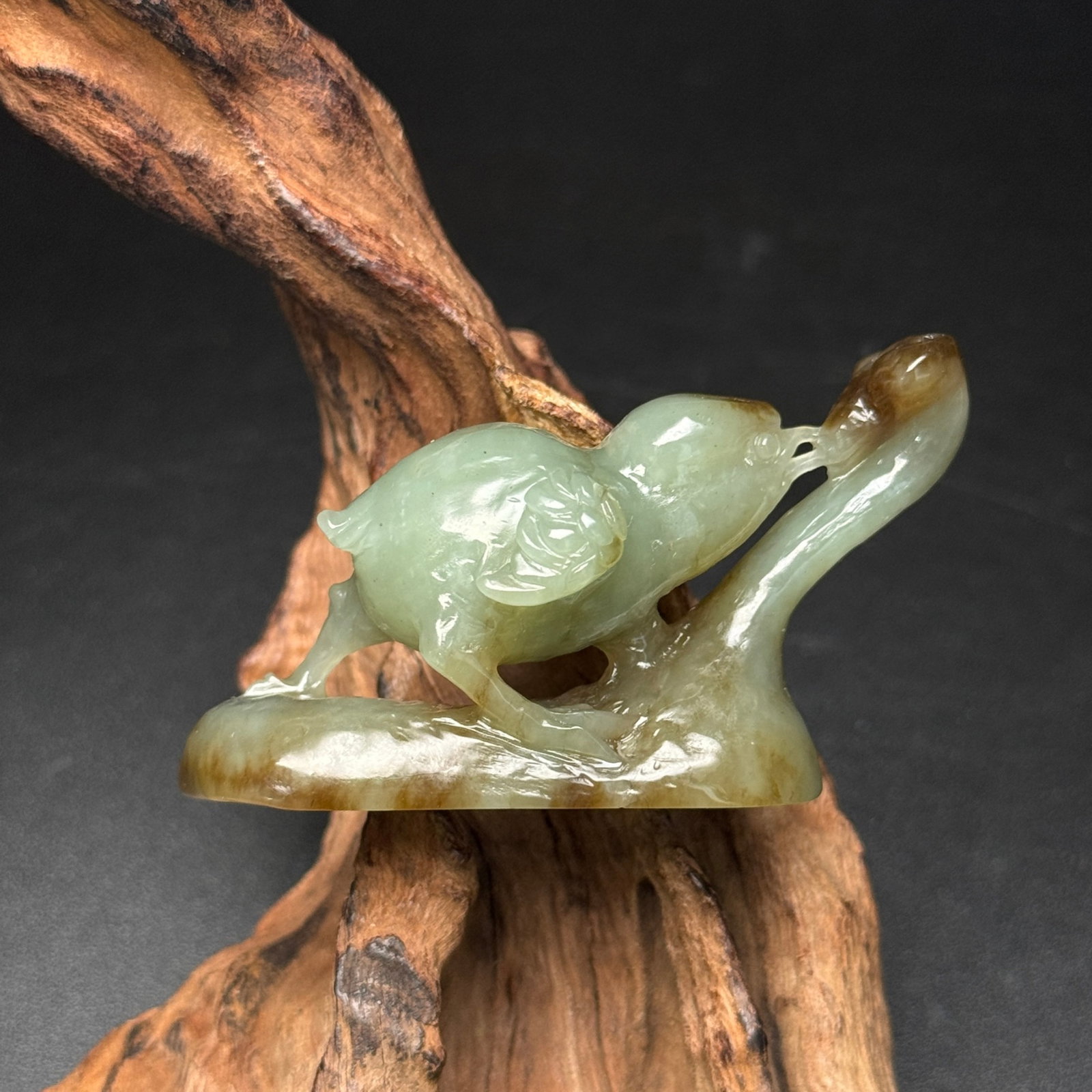An Exquisite Yellow Jade Bird Ornament: An Exquisite Yellow Jade Bird Ornament,Qing Dynasty,China,Size:69mmx38mmx24mm,Weight:46g 黄玉鸟摆件,中国清代