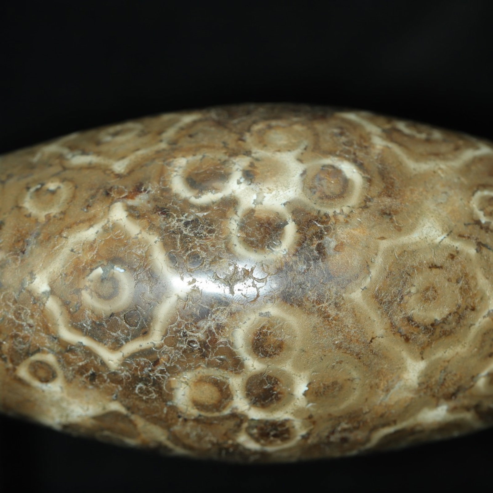 An Exquisite Dzi Bead Ornament£¬With Base - 5