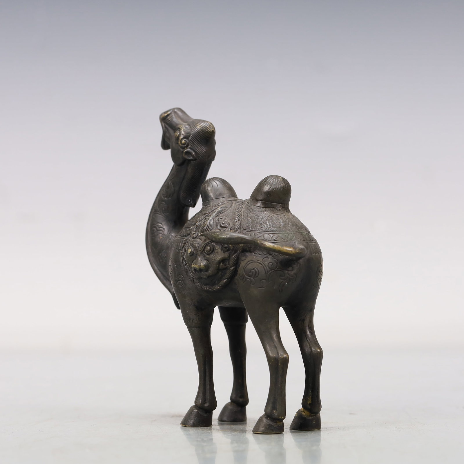 A Wonderful Silver Camel - 5