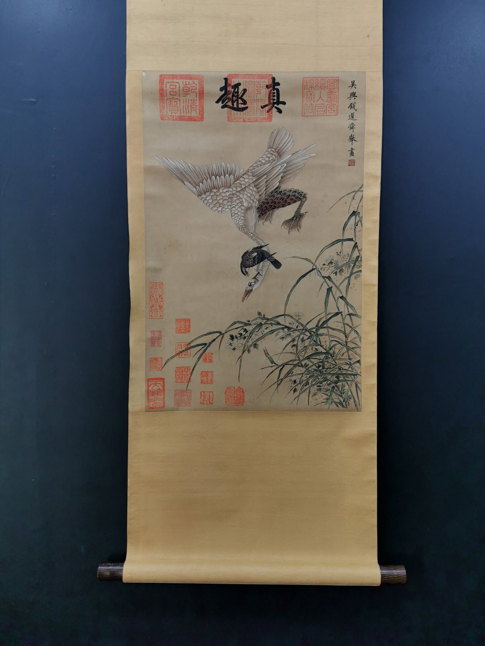 A Chinese Vertical Scroll Ink Painting of Flower and Bird on Paper: A Chinese Vertical Scroll Ink Painting of Flower and Bird on Paper,Qian Xuan,Size:25.2inx16.1in