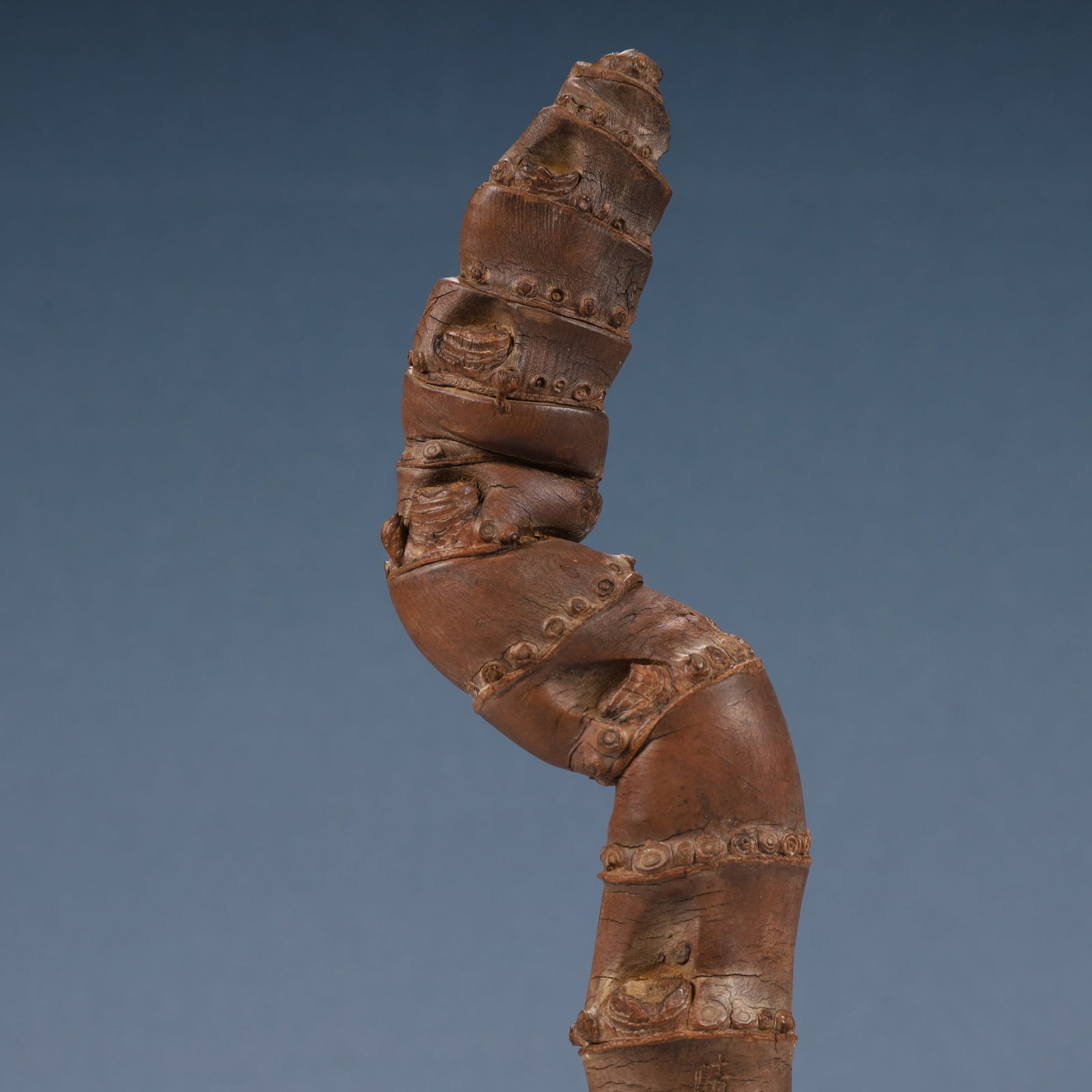 A Rare Root Ornament - 2