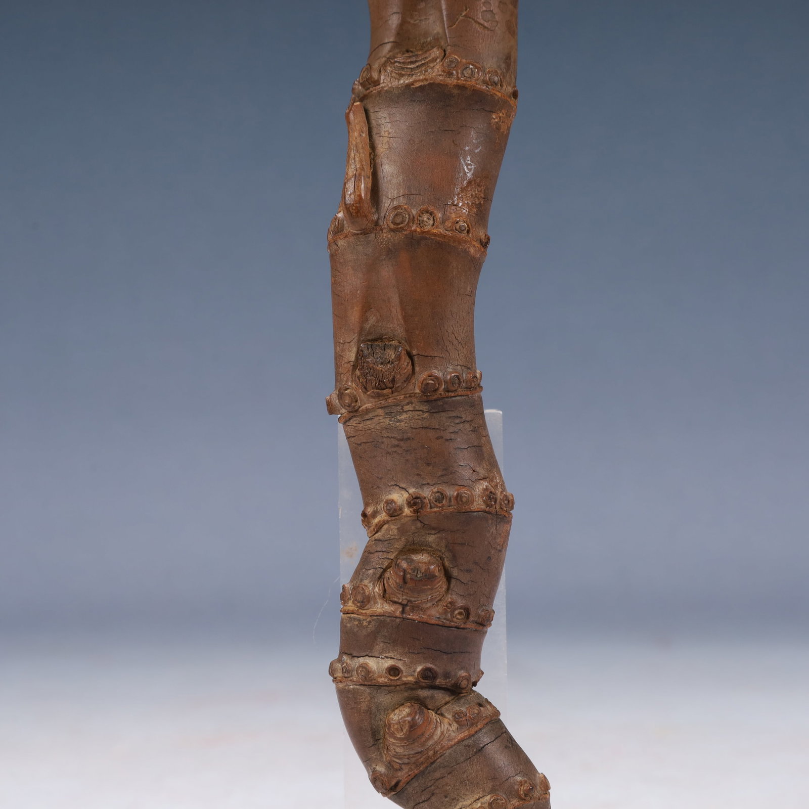 A Rare Root Ornament - 4
