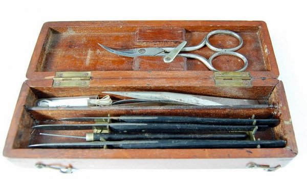 Field Surgeon's Kit: Field Surgeon's Kit, by Arnold & Sons consisting of scapel, scissors & suturing materials; mahogany case with brass escutcheon plate & ebony handles; One scalpel marked Arnold and Sons, the other piec
