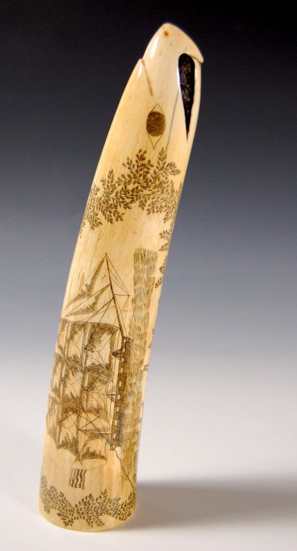 Carved, engraved, ivory tusk, 19th c.: Carved to an eagle head and engraved with a portrait of an American ship surrounded by extensive foliate design and signed on the reverse T. Tully, 1841". Work executed on elephant ivory tusk tip. 19t