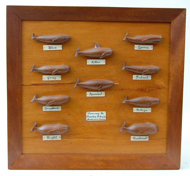 Whale Carvings by Chas. F. Sayle, Nantucket,20thC: Whale Carvings by Chas. F. Sayle, Nantucket,20th C. Ten various carved whales made of walnut, mounted on a birch plaque with a mahogany frame. Title plaque below each whale made of bone and painted wi