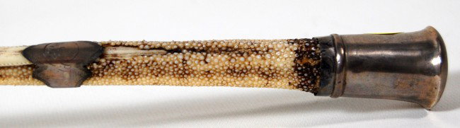 Cane, Rare, Manta Ray, 1904: Rare cane made from a Manta Ray tail. Silver mounted knop with initials P. C. M., silver mounted collar engraved with Avite, P.I. and a second silver collar engraved with the date 1904. The two collar