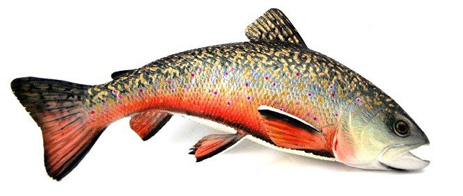 Wall Hanging Carving, Brook Trout, Hank George: Brook Trout with glass eye, carved pine and authentically paint decorated. Titled 'Brook Trout SPT', signed by the artist, Hank R. George, and marked CI (Catalina Islands, California) (19) 99. Hank Ge