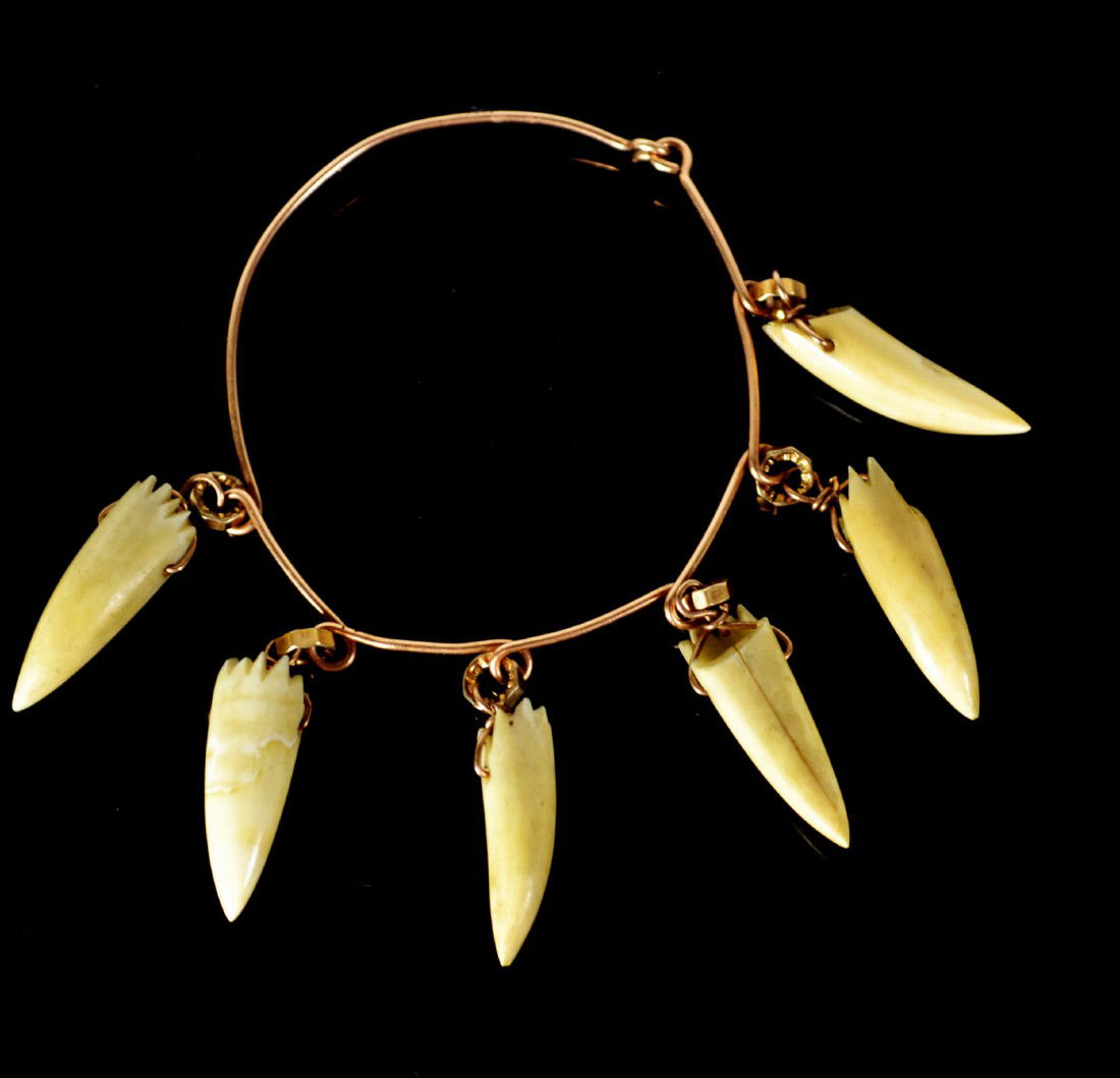 Gorget, Tiger Teeth & Gold, c. 1880: Bracelet strung to be suspended from a chain as in a gorget constructed of tiger teeth & gold. From the Great Hunters of India, circa 1870-80. Size: D. 2.25" x L. (with teeth) 3" Weight: 7g Condition: