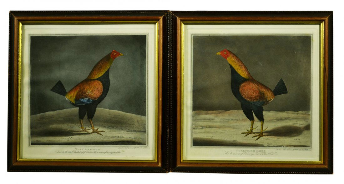 (2) Lithographs, Fighting Cocks, c. 1830: (2) Lithographs, Fighting Cocks, c. 1830 Title: The Champion , Yorkshire Hero Artist: Robert Pollard Publisher: R. Pollard & Sons, Holloway Description: Paper engraving, depicting a cockfighting bird