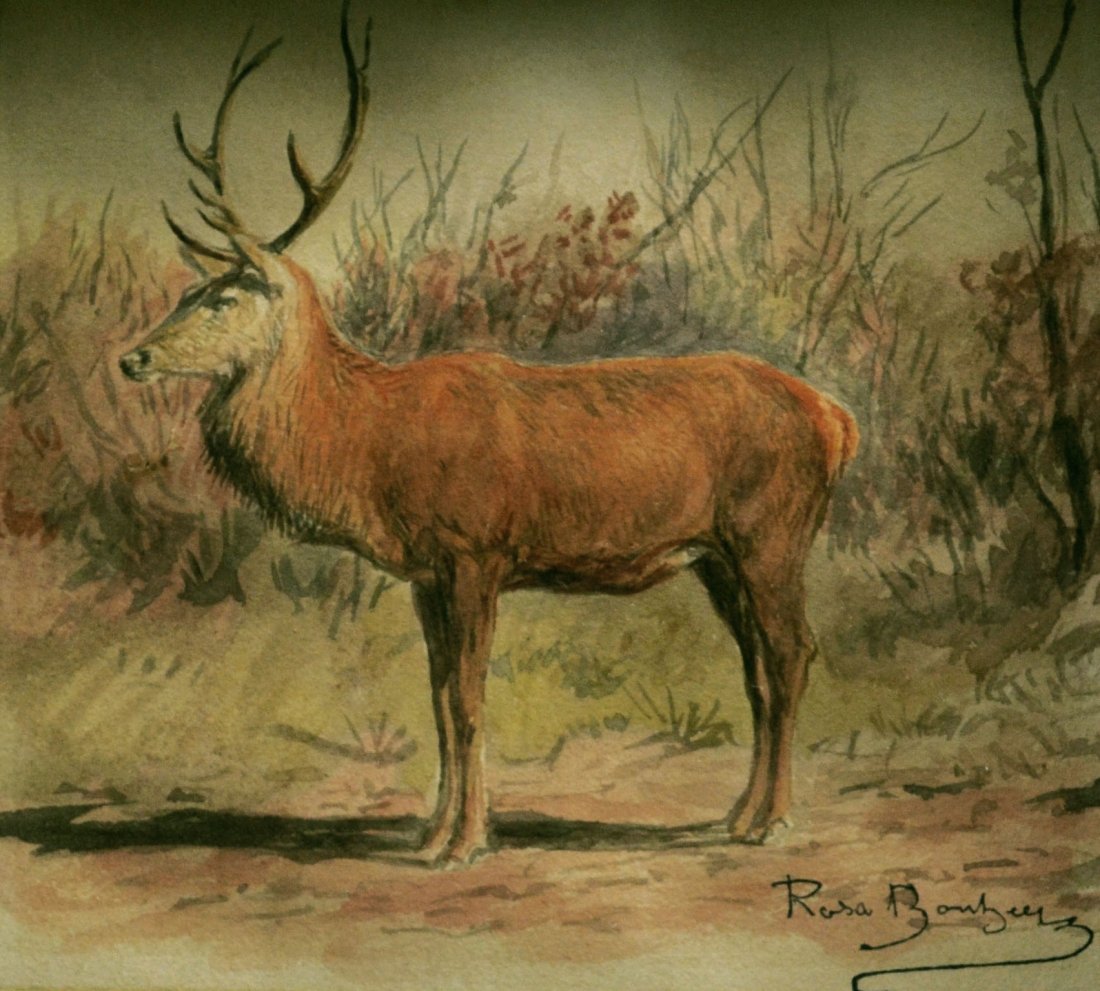 W/C/P, 'Buck in Landscape', Rosa Bonheur, C. 1880: W/C/P, 'Buck in Landscape', Rosa Bonheur, C. 1880 Medium: Watercolor. Support: Paper Artist: Rosa Bonheur Artist Dates: (1822 -1899) Country of Origin: France. Title & Description: 'Buck in Landscape'