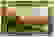 item-19096887=2