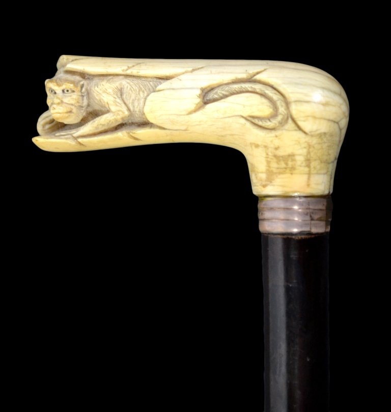 Cane, Elephant Ivory carved, Ebony shaft: Cane Materials: elephant ivory ebony or rosewood shaft Date: C. 1870 Description: Crouching monkey is relief carved into an elephant ivory handle. Silver collar and spacers surround a silver escutcheo