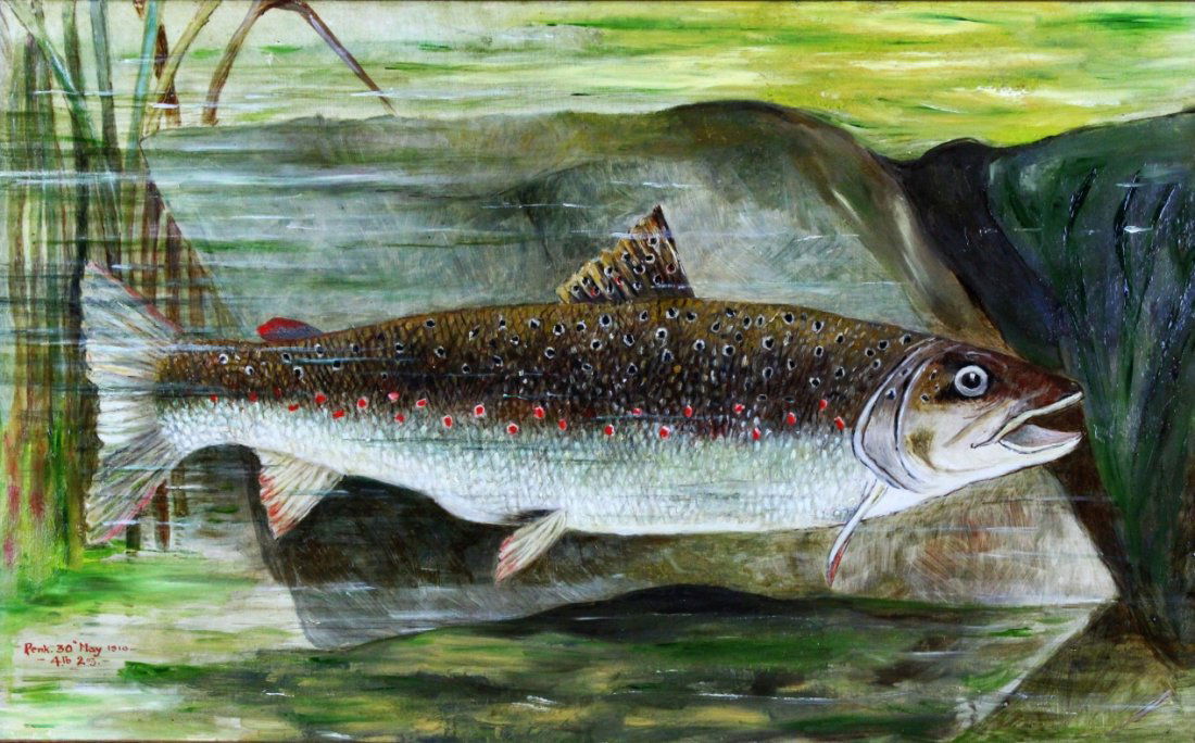 O/C Trout Portrait, River Penk, 1910 (1 of 7)