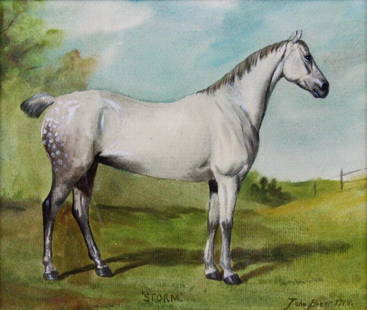 P/C 'Thoroughbred', John Alexander Beer: Description: Pastel on card painting. Portrait of a dapple grey thoroughbred horse in profile, standing in a field. Original maple frame. Inscribed "Storm" bottom middle and "John Beer/1914" bottom ri