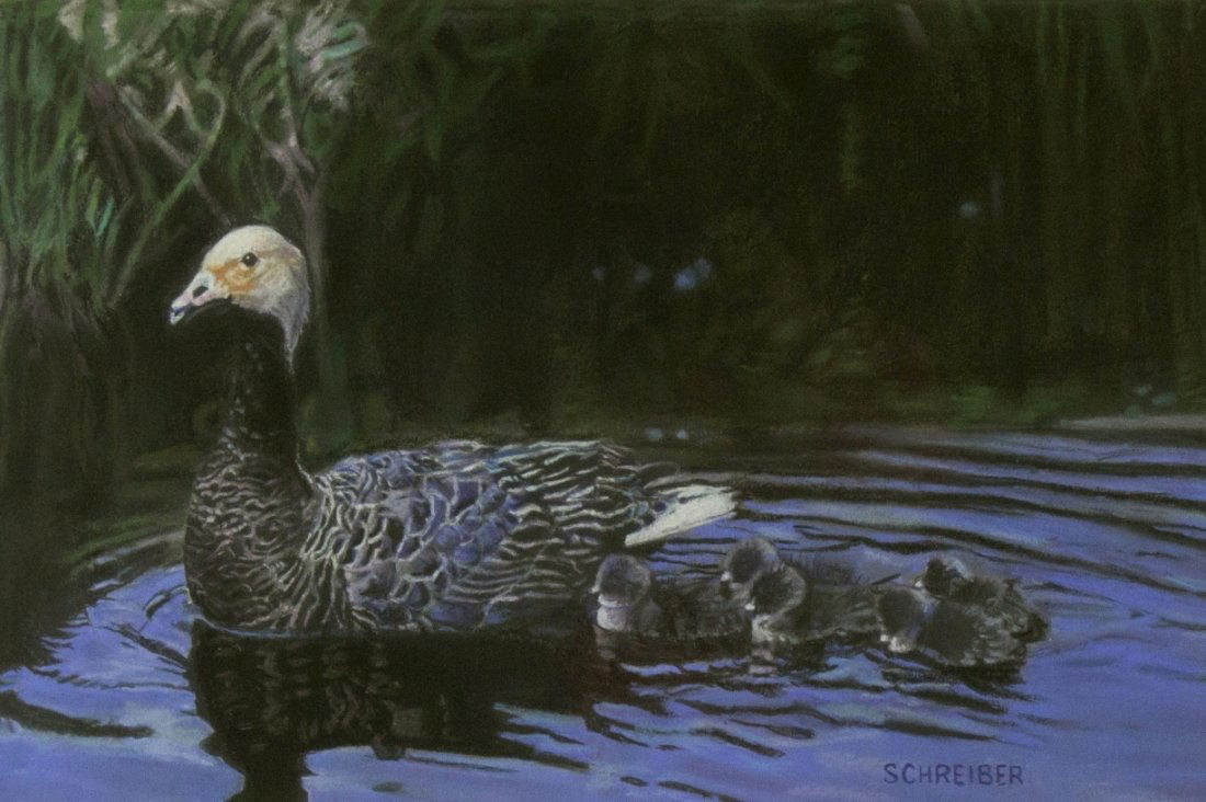 P/P "Duck Family" by Herman Schreiber (1 of 5)