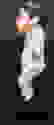 item-43597073=2