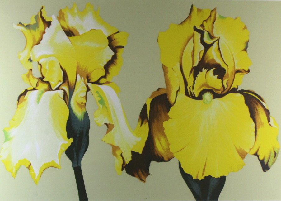 P/P Lithograph of Yellow Iris Diptych, L Nesbitt (1 of 7)