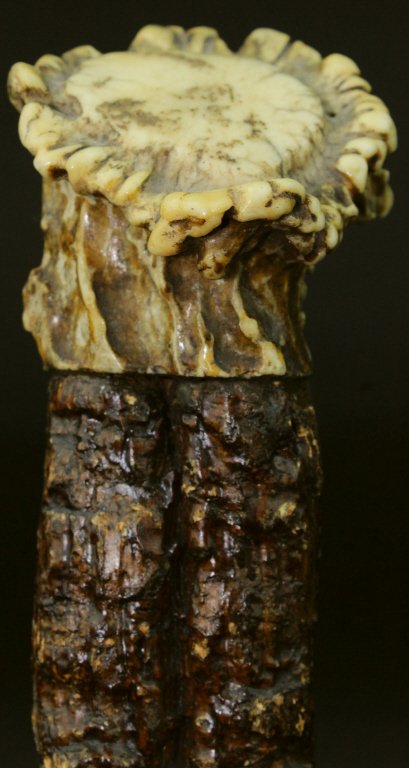 Cane, Carved Cork, Stag Horn, 19th C. (1 of 6)