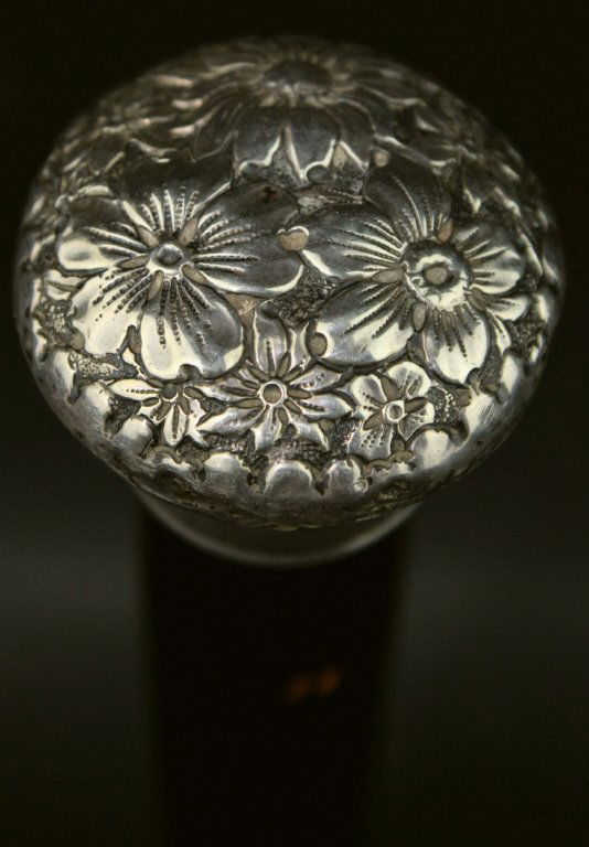 Gadget Cane, Sterling Silver, Flask, C. 1880 (1 of 8)