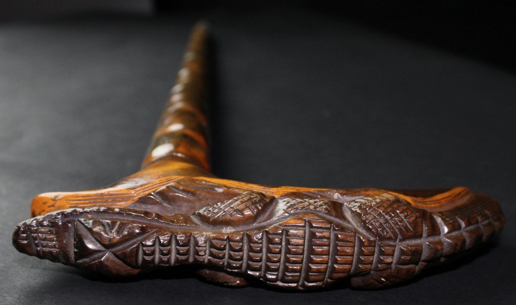 Cane, Alligator Top, Jacksonville, Fl., C. 1890 (1 of 7)