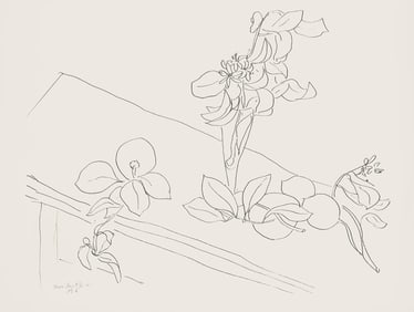 Henri Matisse, Serie M, var. 2 (Duthuit 9), Henri Matisse, Dessins, Themes et variations, Limited
