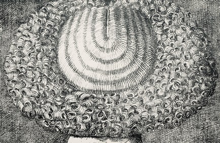 Domenico Gnoli, Composition, Suites no9, Limited Edition Lithograph