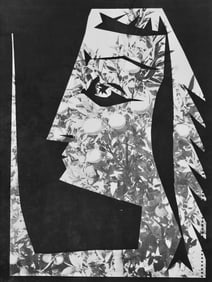 Pablo Picasso, Andre Villers, Jacqueline aux fruits (Cramer 115), Diurnes, Decoupages et