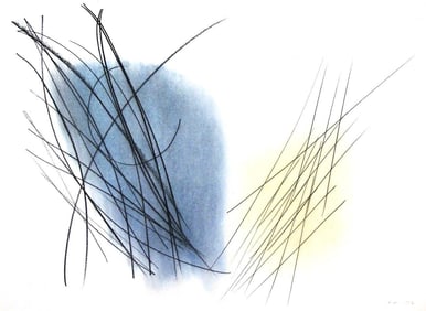 Hans Hartung, P. 1957-81, Hans Hartung, Peintres d'aujourd'hui, Limited Edition Heliogravure