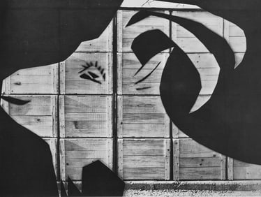 Pablo Picasso, Andre Villers, La chevre a la caisse d'emballage (C. 115), Diurnes, Decoupages et