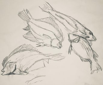 Ian Hornak, Renaissance Fish Study, 1963, Original Drawing