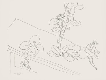 Henri Matisse, Serie M, var. 2 (Duthuit 9), Henri Matisse, Dessins, Themes et variations, Limited