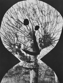 Pablo Picasso, Andre Villers, Le corrigan effeuille (Cramer 115), Diurnes, Decoupages et