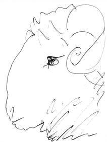 Pablo Picasso, Tete de belier (Cramer 84; Johnson/Stein 77), 40 dessins de Picasso en marge du