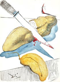 Salvador Dali, Composition (Field 67-4; M/L 174-187), Dali illustre Casanova, Limited Edition