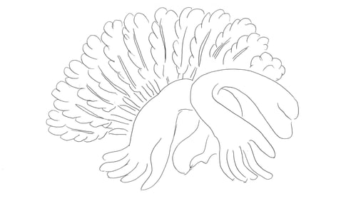 Henri Matisse, Sans titre, Poesies de Stephane Mallarme, Limited Edition Lithograph