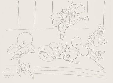 Henri Matisse, Serie M, var. 7 (Duthuit 9), Henri Matisse, Dessins, Themes et variations, Limited