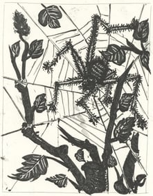 Pablo Picasso, L'Araignee (The Spider) (Orozco p.82), Histoire naturelle, Limited Edition Lithograph