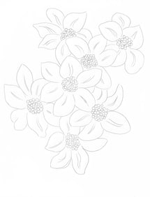 Henri Matisse, Les Fleurs, Poesies de Stephane Mallarme, Limited Edition Lithograph