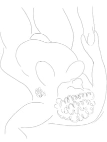 Henri Matisse, Le Pitre Chatie, Poesies de Stephane Mallarme, Limited Edition Lithograph