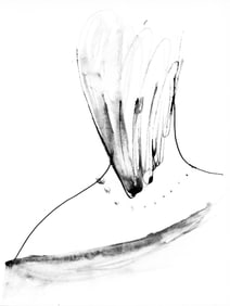 Pablo Picasso, Femme vue de dos (Cramer 84; Johnson/Stein 77), 40 dessins de Picasso en marge du