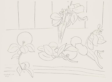 Henri Matisse, Serie M, var. 7 (Duthuit 9), Henri Matisse, Dessins, Themes et variations, Limited