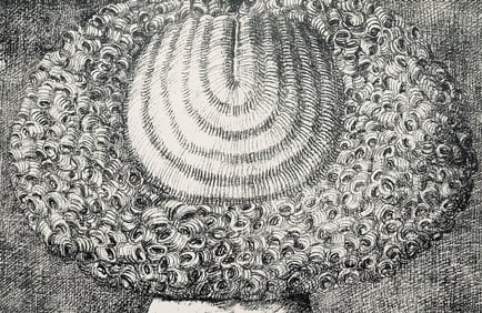 Domenico Gnoli, Composition, Suites no9, Limited Edition Lithograph